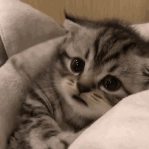 模特中出潮喷视频
